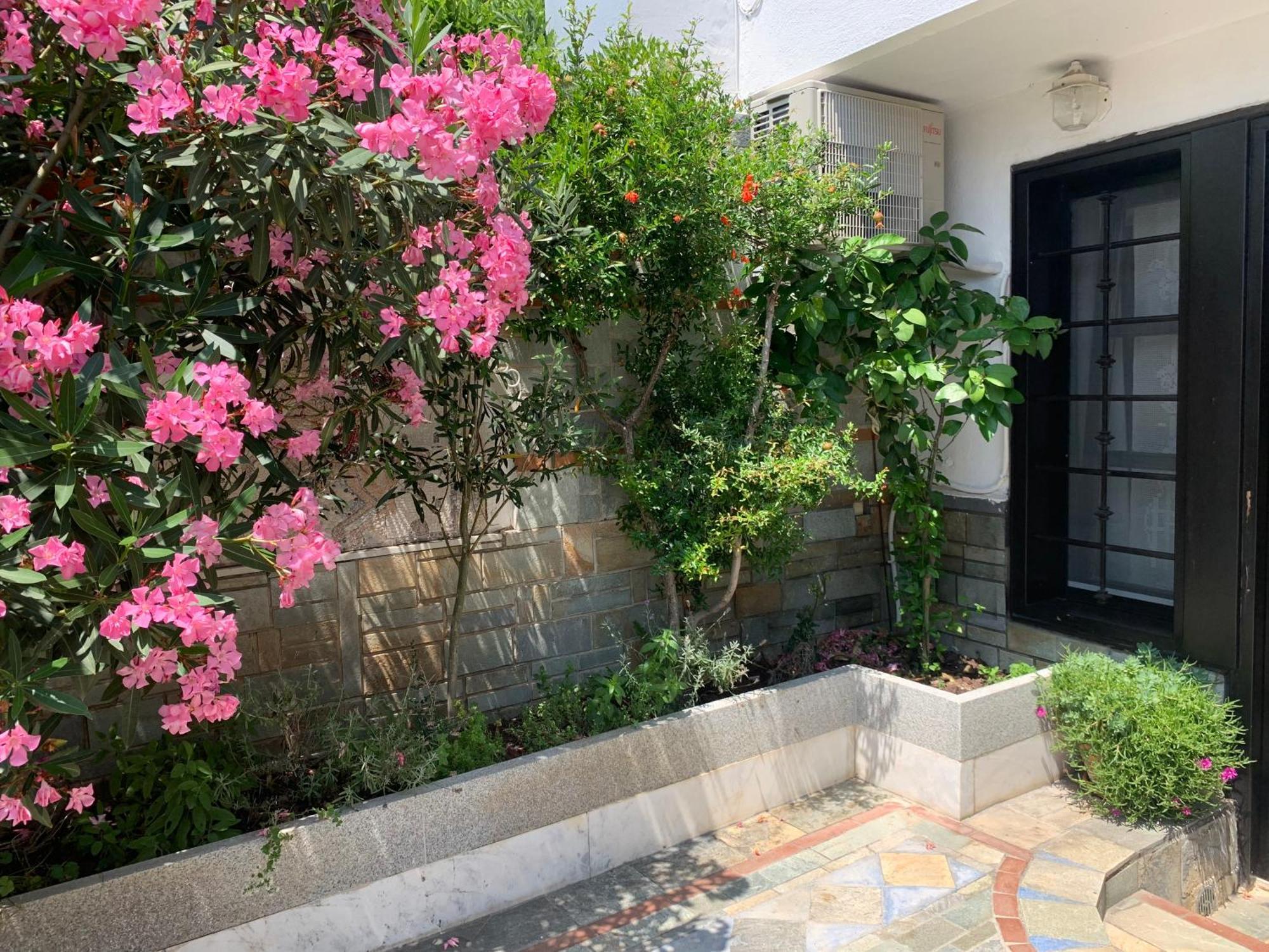 Gemütliches Appartement in Ano Poli Thessaloniki Exterior foto
